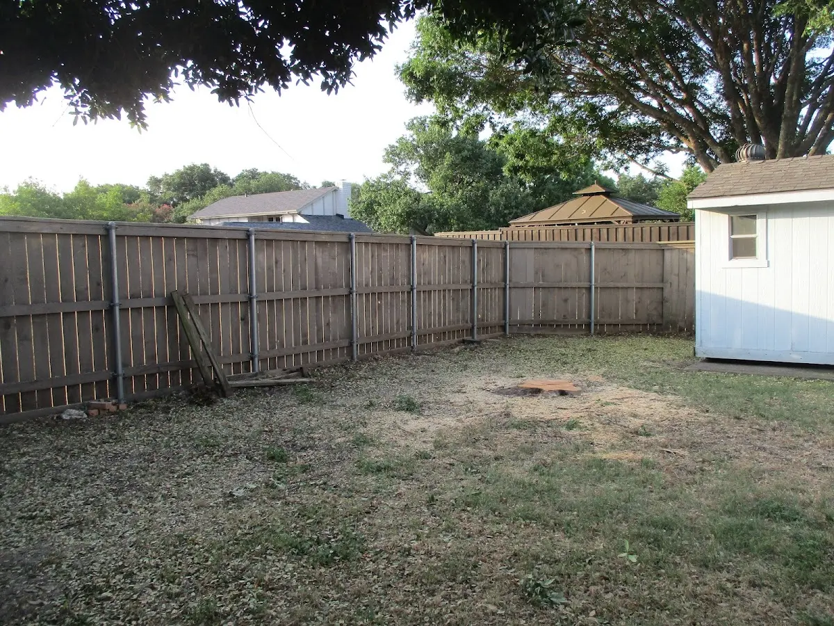 Cleared yard after professional tree removal in Buckeye Lake