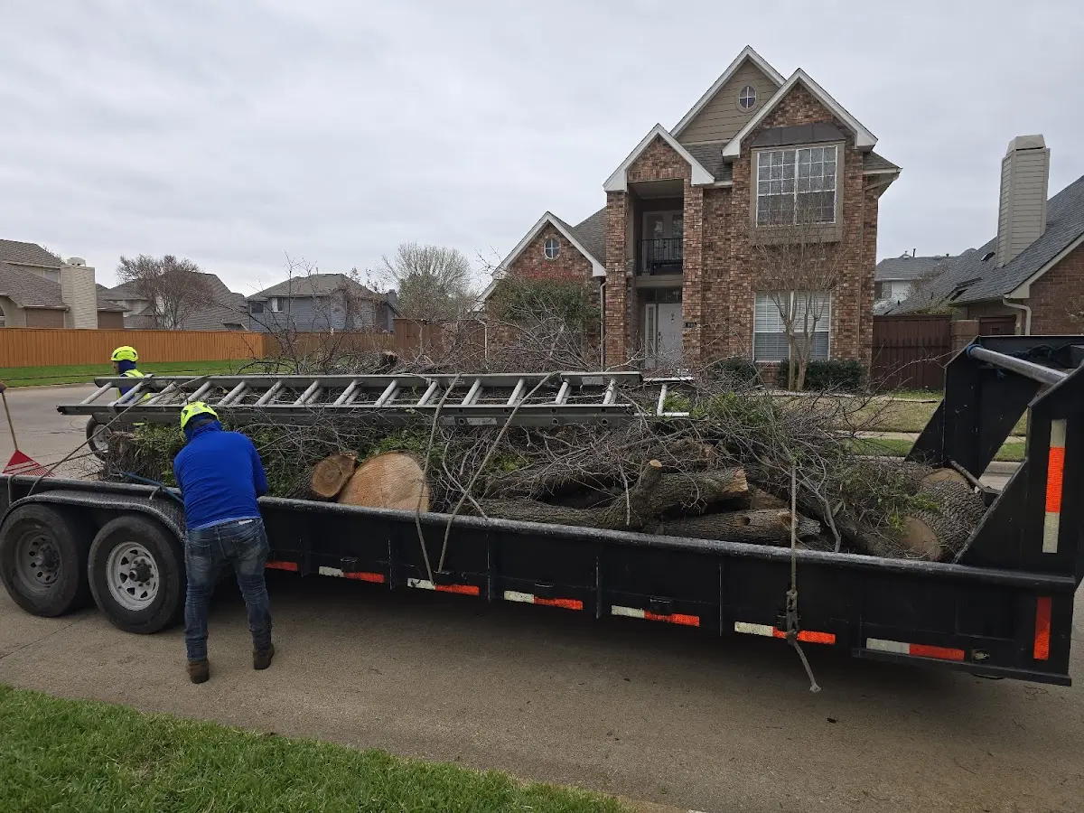 Expert Crown Reduction with proper safety equipment in Buckeye Lake